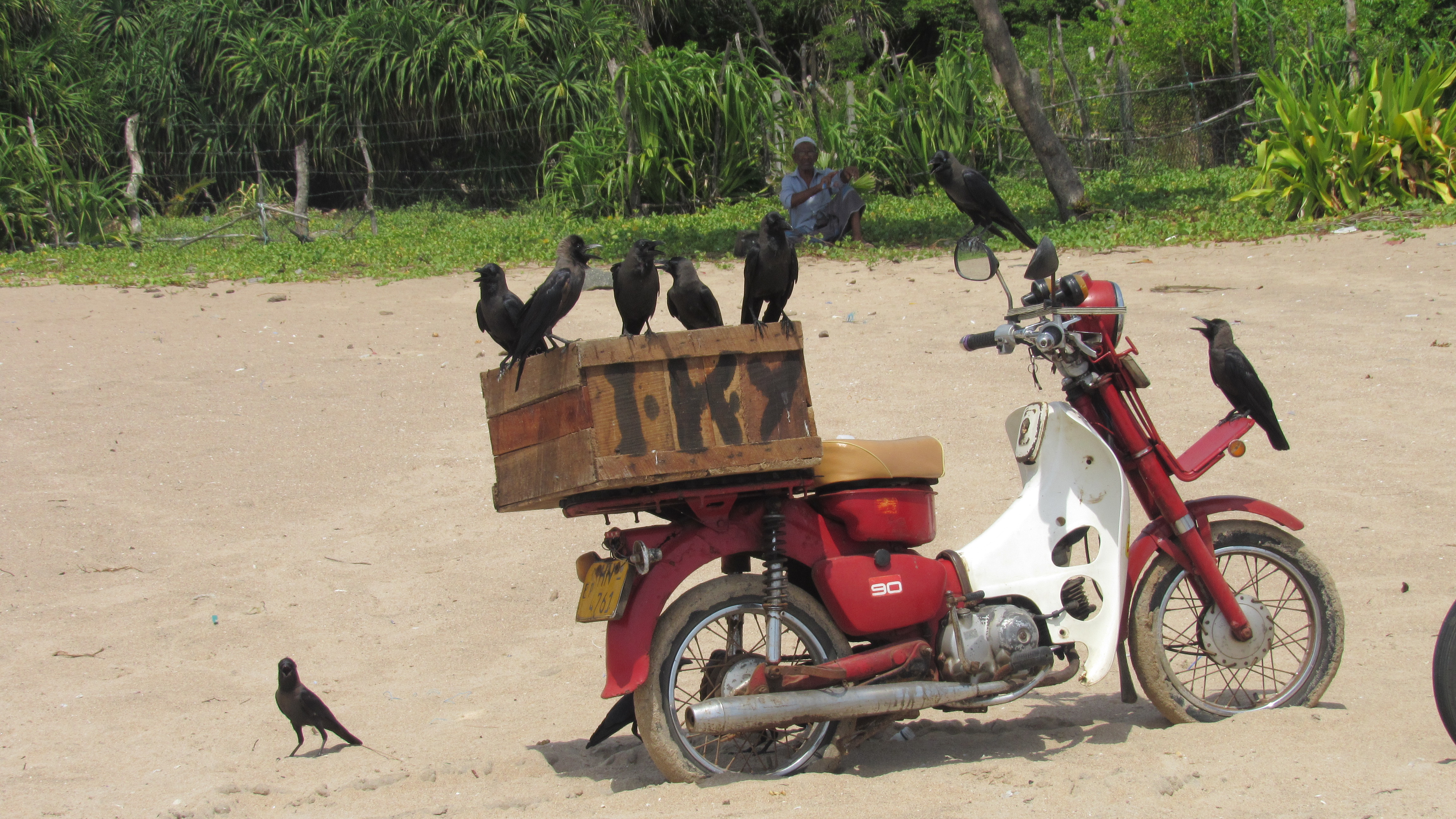 Playas de Sri Lanka: Nilaveli (costa noroeste)