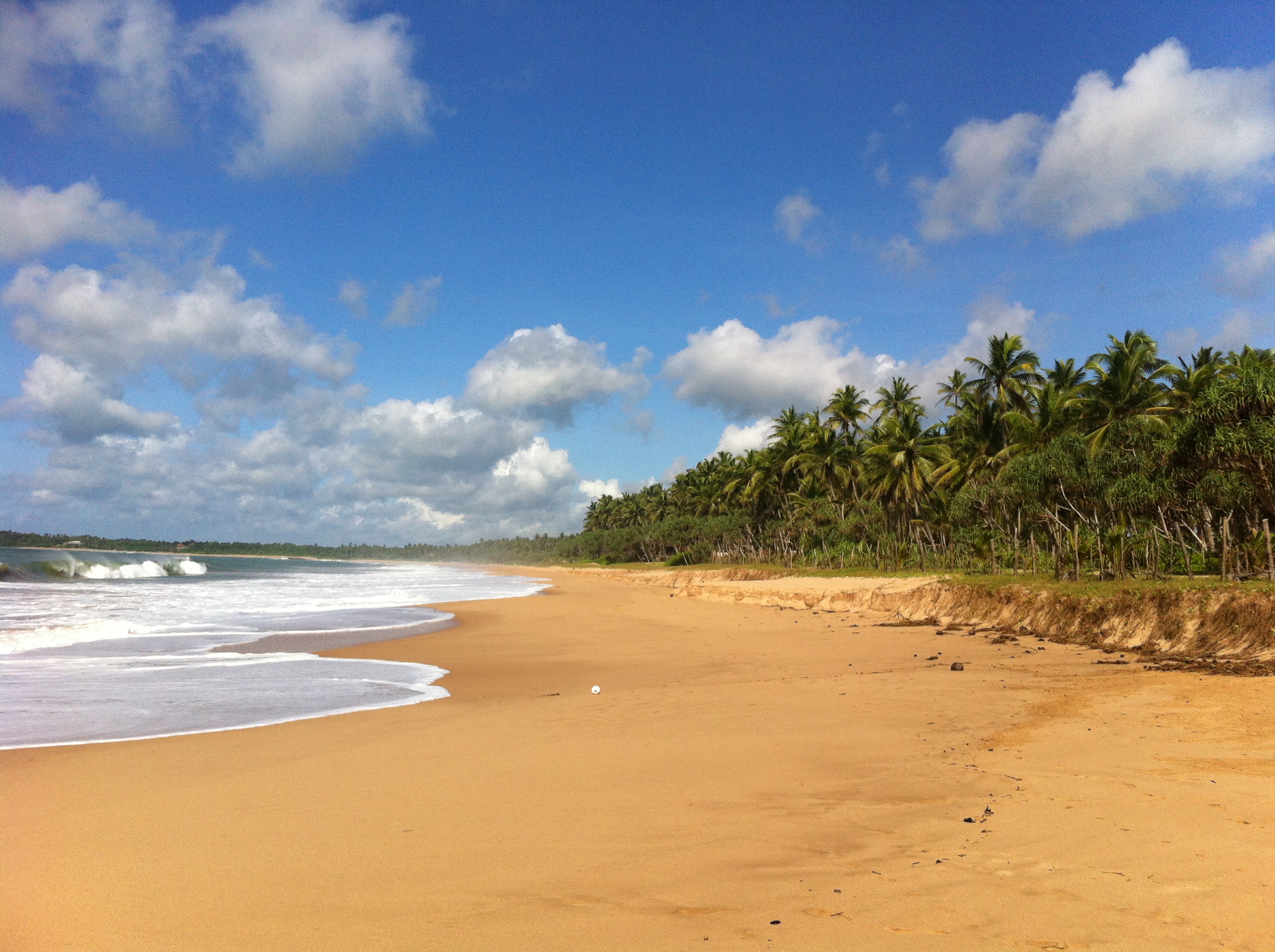 Playas de Sri Lanka:Tangalle y Galle (Costa Sur)