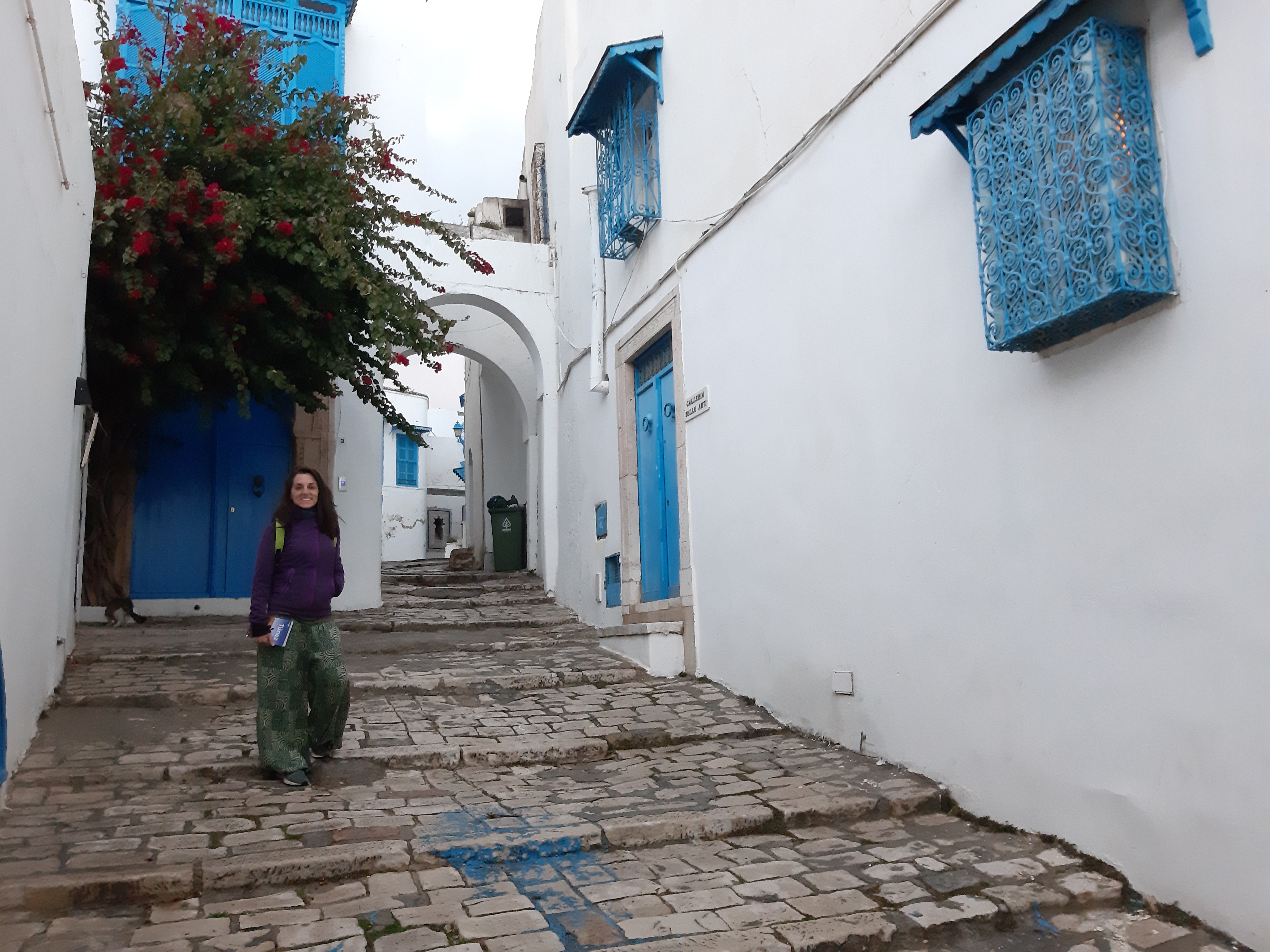 CARTAGO Y SIDI BOU SAID