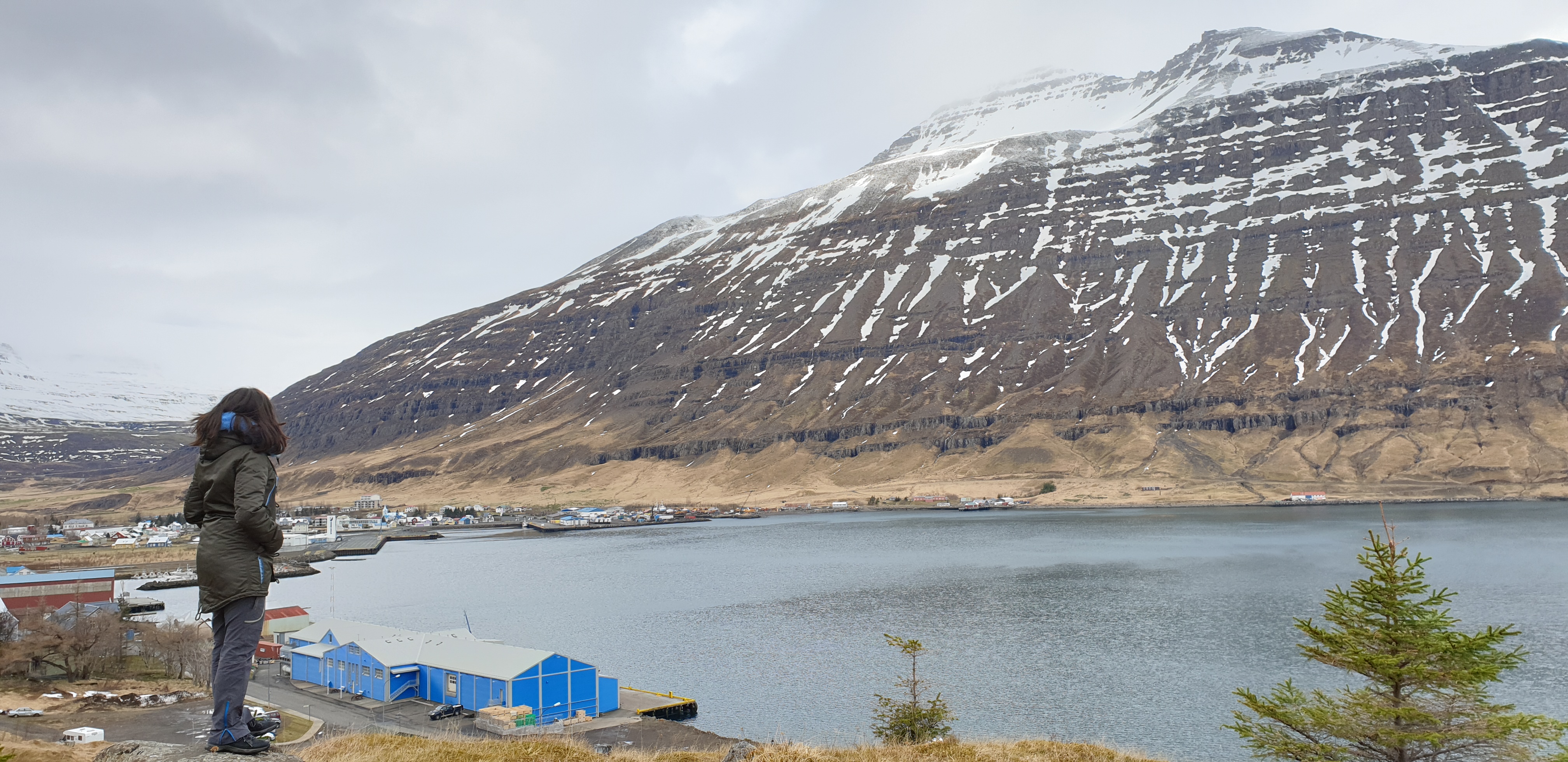 Costa ESTE de Islandia