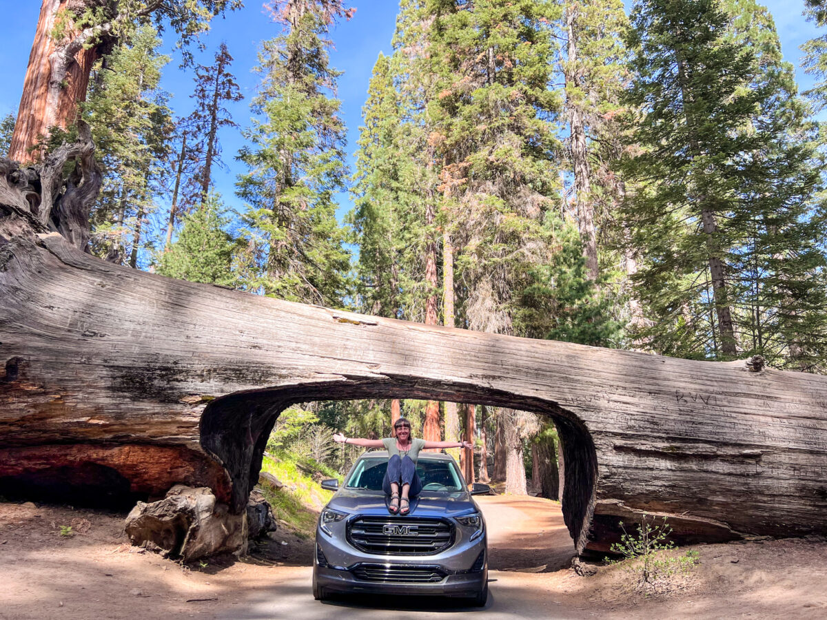 1 día en Sequoia National Park (con niños)